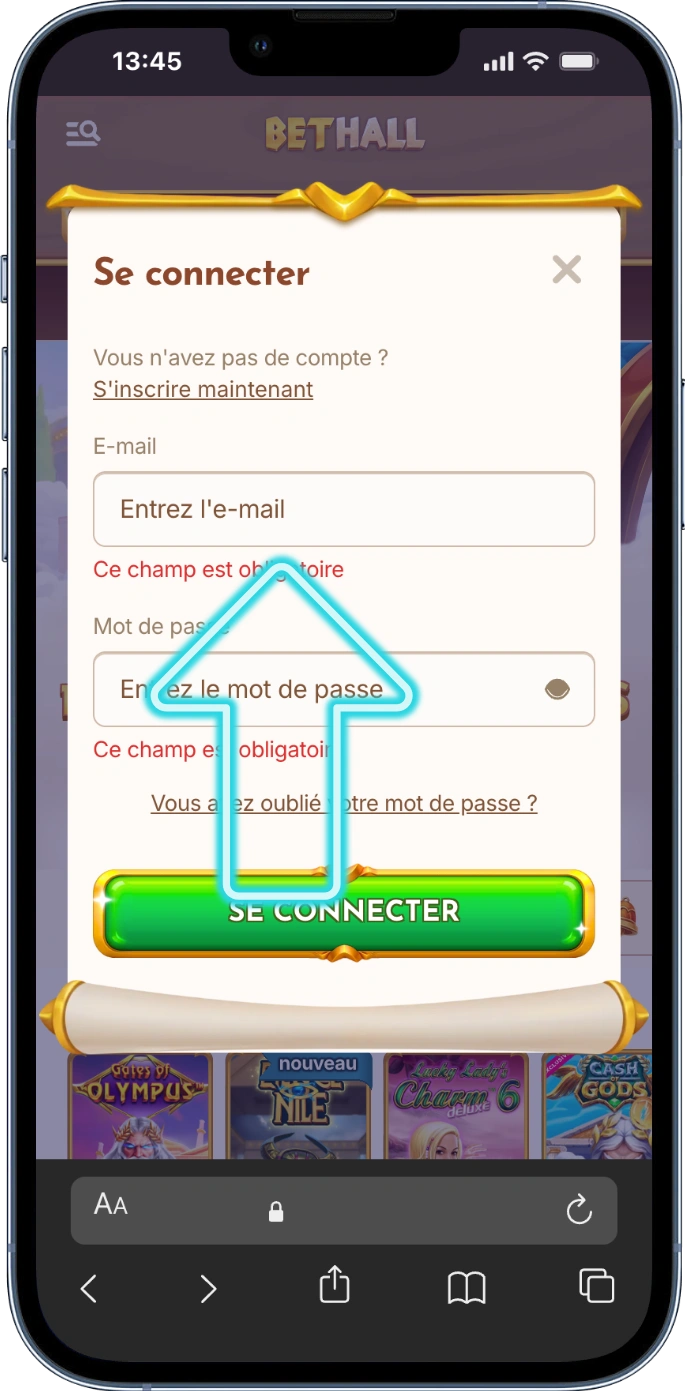 Saisie de l'e-mail pour bethall login